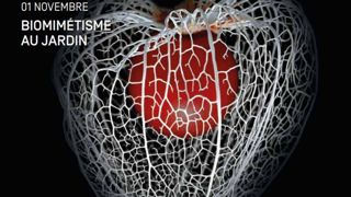 Pour les créateurs de l’édition 2021, la nature, aussi bien la faune que la flore, n’est pas seulement une ressource ou une contrainte, mais également une véritable source d’inspiration. ©Domaine de Chaumont-sur-Loire